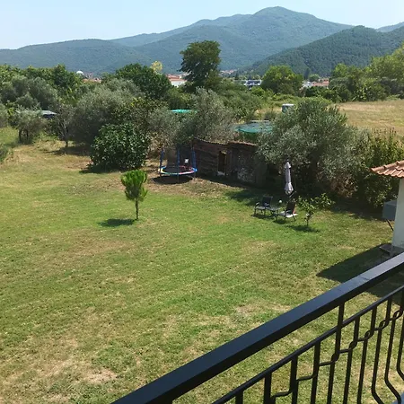 The Balcony